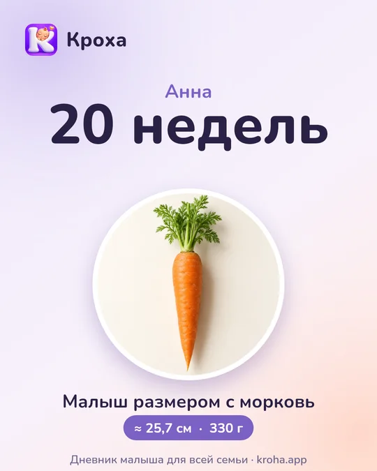 Открытка «20 недель - малыш размером с морковь»